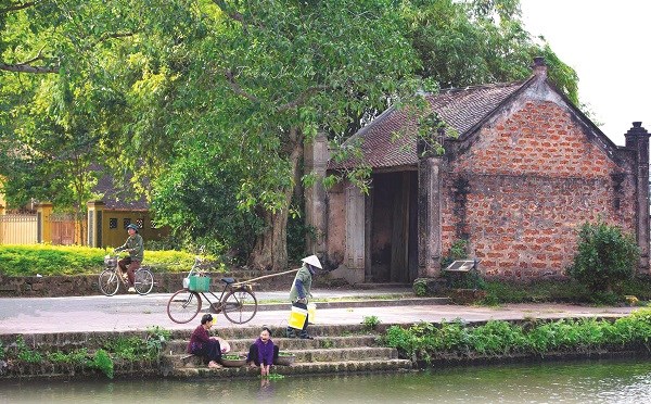 Nhớ món ếch đồng ngày mưa - 2
