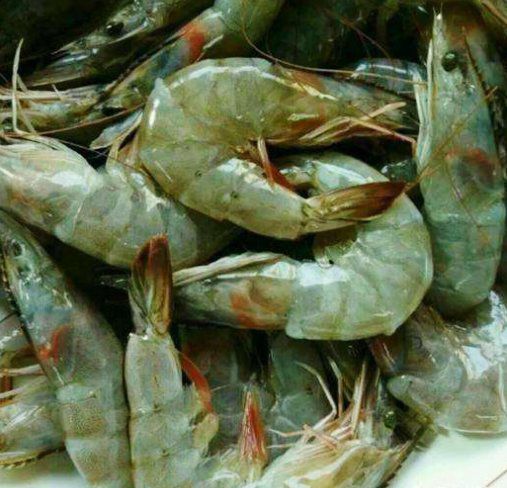 Con rể nghèo nhét tôm vào chai nhựa, mẹ vợ bĩu môi chê bủn xỉn rồi ngớ người khi nghe con gái nói - 4