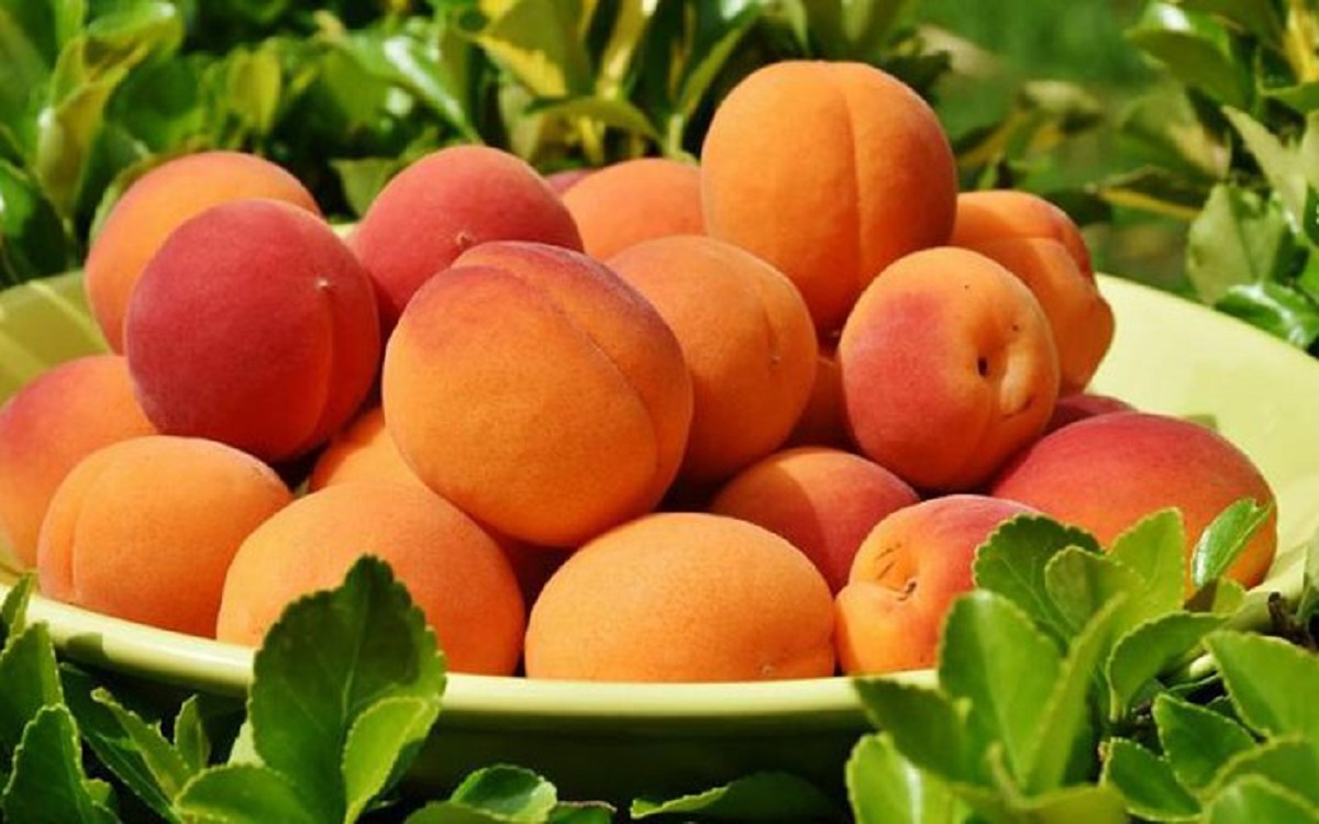 Những thực phẩm lý tưởng cho “chuyện ấy”, giúp cuộc yêu được dài lâu và thăng hoa hơn - 8