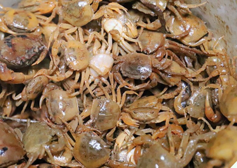 Nấu canh cua cứ thêm thứ này gạch tự nhiên đóng thành tảng lớn, ngon bổ gấp 10 lần - 3