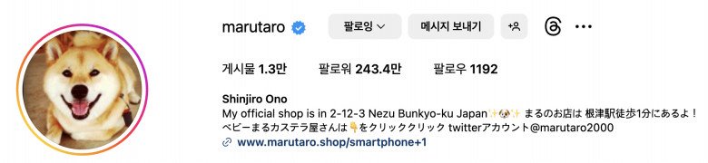 Chú chó nổi tiếng suốt 1 thập kỷ trên Instagram đột ngột qua đời - 4