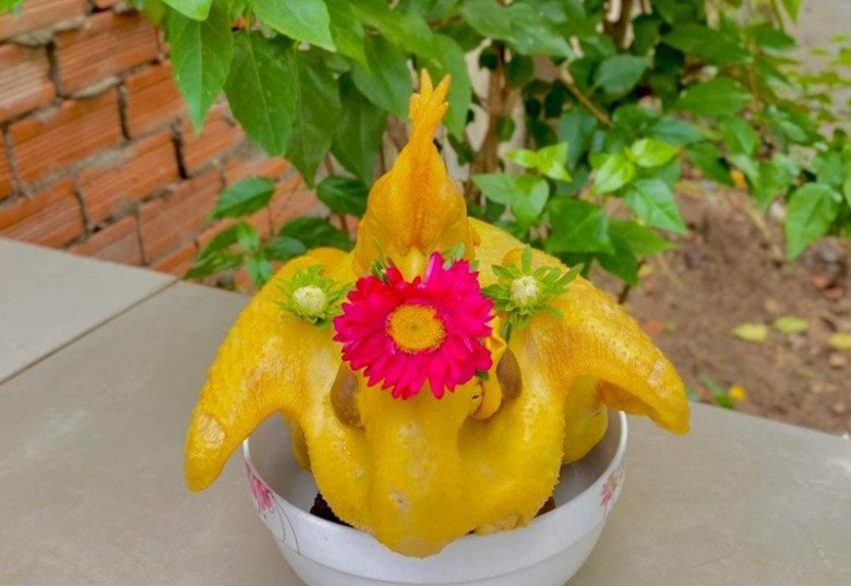 Cách luộc gà cúng ông Công ông Táo đẹp mắt, vàng ươm không nứt da - 5