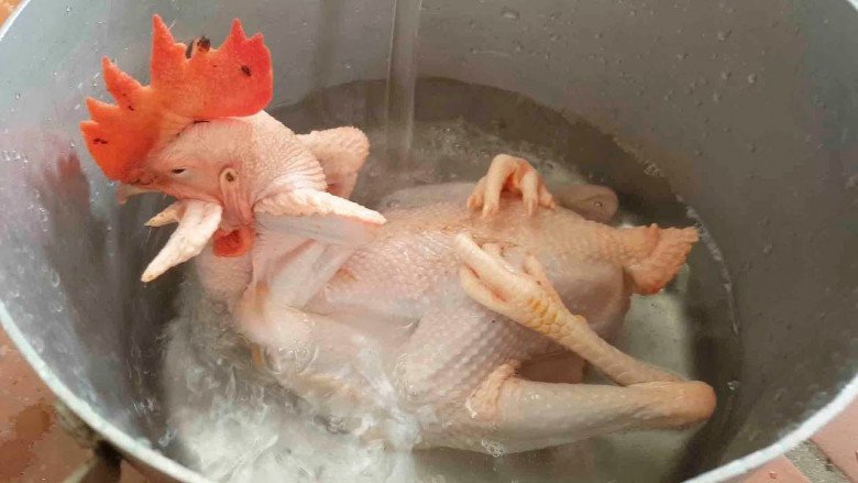 Cách luộc gà cúng ông Công ông Táo đẹp mắt, vàng ươm không nứt da - 3