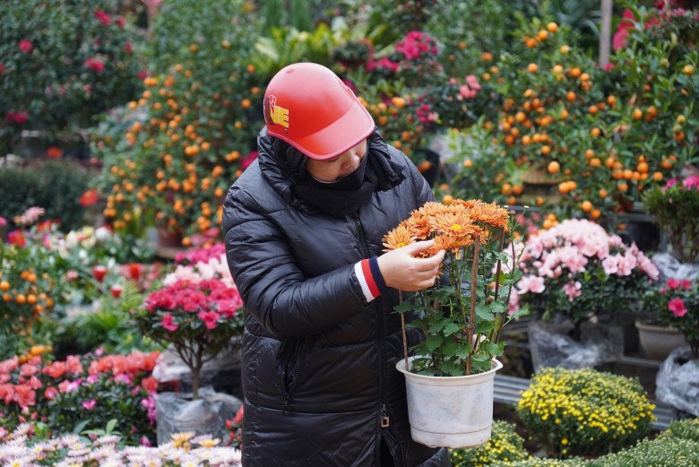 5 chợ hoa Tết sầm uất nhất Hà Nội, tấp nập đông như trẩy hội: Tết đã đến rất gần rồi! - 4