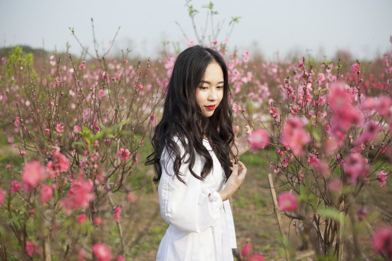 5 chợ hoa Tết sầm uất nhất Hà Nội, tấp nập đông như trẩy hội: Tết đã đến rất gần rồi! - 2