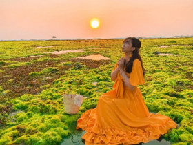Điểm đến mới nổi tại Ninh Thuận: Thảm rêu xanh mướt tận chân trời như một bức tranh