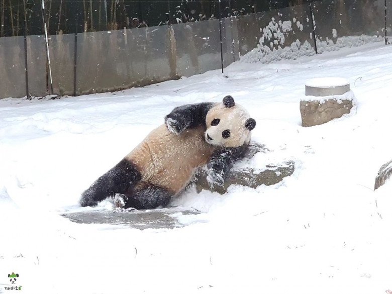 Hàng nghìn fan xếp hàng 6-7 tiếng, khóc không ngừng trong ngày cuối gặp "công chúa tài phiệt" Fubao - 6