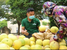 Hà Tĩnh có phiên chợ chỉ họp 2 tháng trong năm, bán duy nhất "đệ nhất danh quả" thơm lừng một con đường