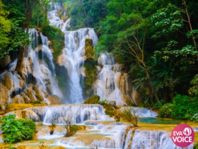 Kuang Si - dòng thác ngọc bích: bản hòa ca giữa thiên nhiên lào