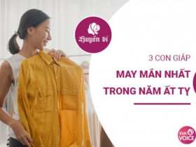 Những con giáp may mắn nhất năm Ất Tỵ, sự bùng nổ của cơ hội và thành công