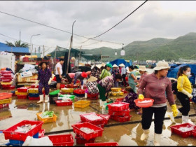 Mách bạn khu chợ là vựa hải sản lớn nhất Nha Trang, muốn mua phải đi từ 3 giờ sáng