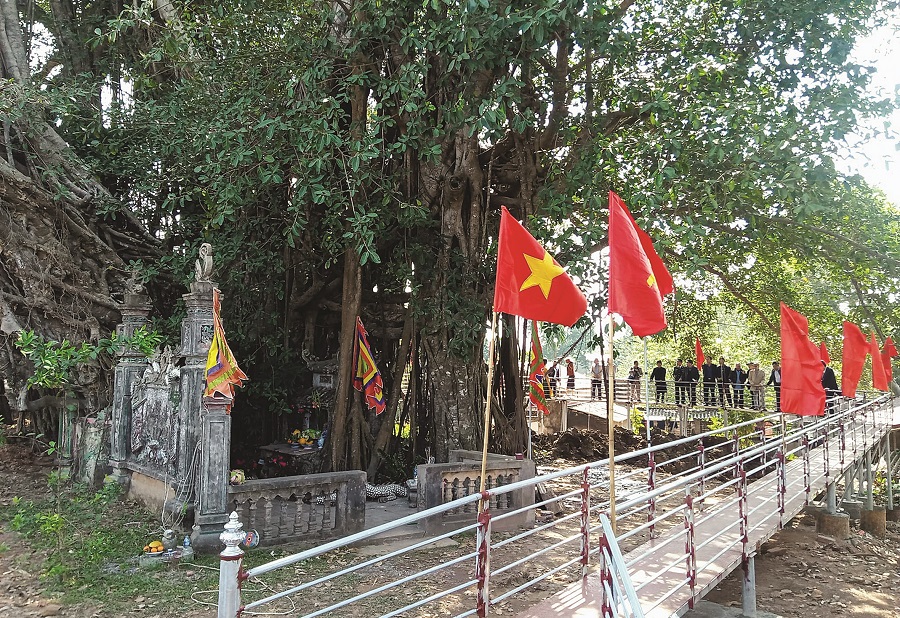 Thu hút du lịch từ cây di sản - 1