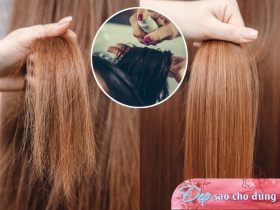 Tóc khô xơ hay rụng, chẻ ngọn có thể "chữa lành" bằng dầu gội, xả hay phải cắt bỏ? Biết điều này bạn sẽ không phí tiền