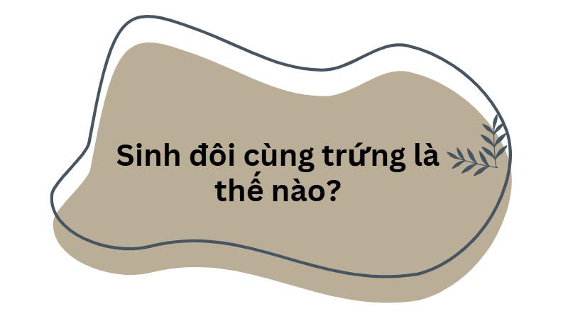 Ca sinh 3 đặc biệt: 2 bé gái là cặp song sinh cùng trứng, cả 3 đều nặng hơn 2,3kg - 5