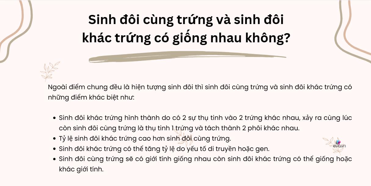 Ca sinh 3 đặc biệt: 2 bé gái là cặp song sinh cùng trứng, cả 3 đều nặng hơn 2,3kg - 7