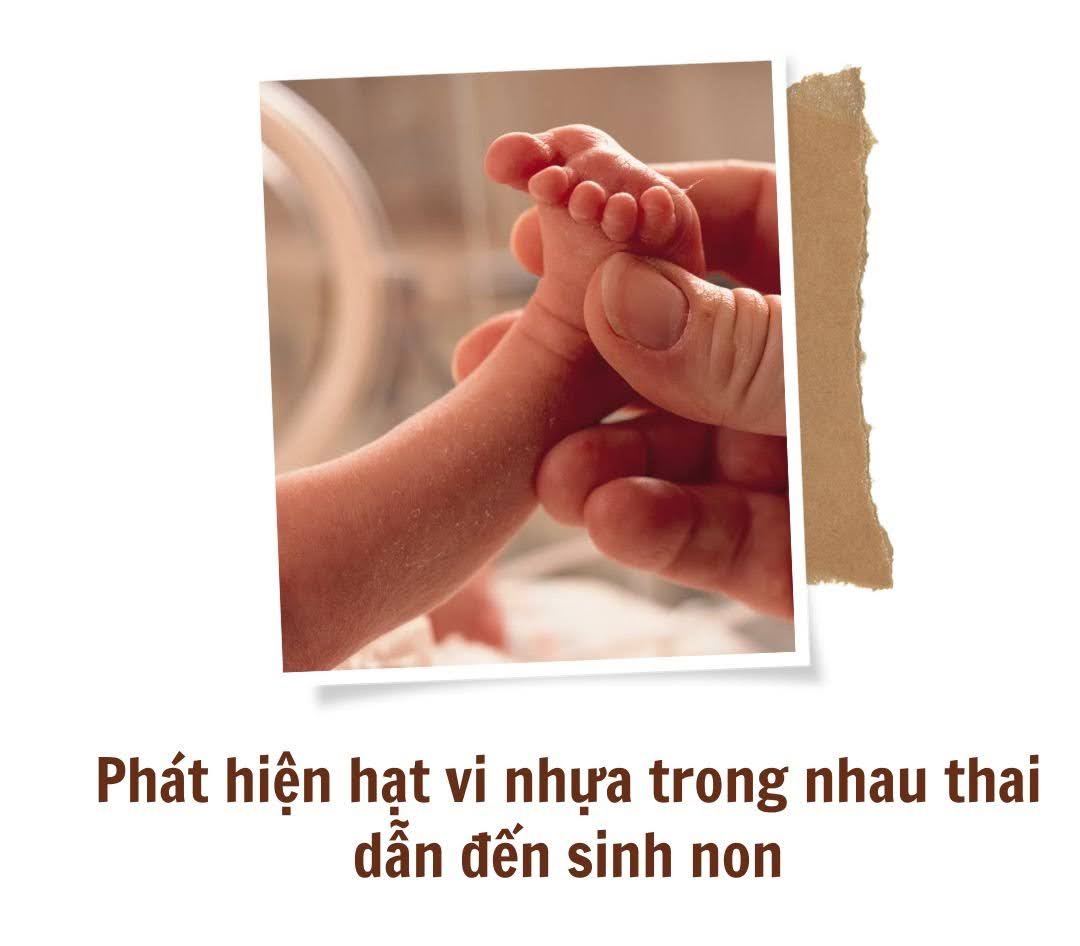 Thai nhi chưa chào đời đã &#34;ăn&#34; nhựa, các nhà khoa học cảnh báo mối nguy tiềm ẩn - 2