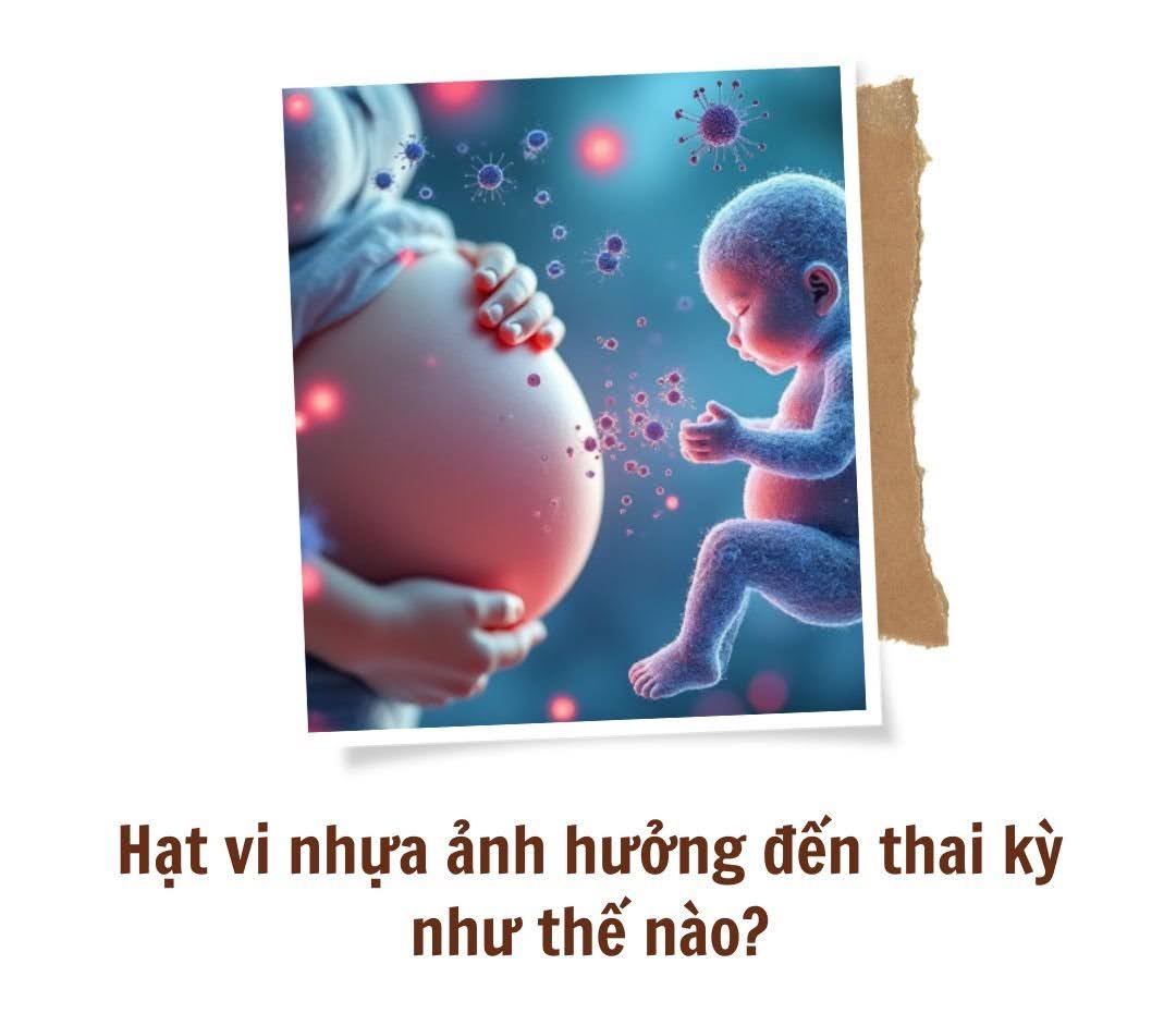 Thai nhi chưa chào đời đã &#34;ăn&#34; nhựa, các nhà khoa học cảnh báo mối nguy tiềm ẩn - 4