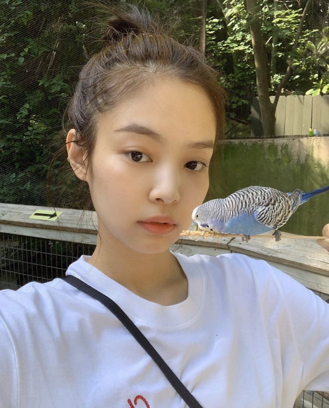 Vì sao Jennie (BLACKPINK) luôn mang vòi hoa sen đi diễn khắp hành tinh? Câu trả lời thấy ngay ở làn da nàng thơ - 6