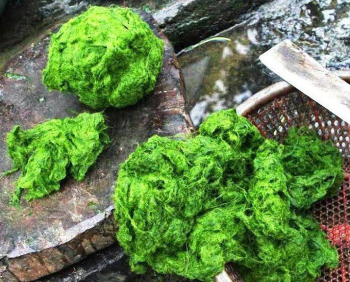 6 đặc sản Phú Thọ mua về làm quà thì miễn chê, có món nhặt từ dưới suối nay thành đặc sản nhiều người lùng mua - 6