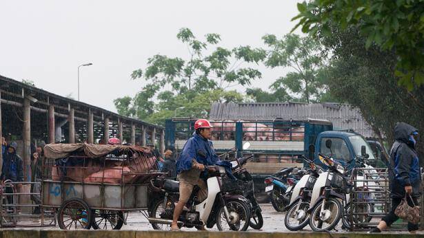 "Chợ lợn" lớn nhất miền Bắc ở Hà Nam, mở quanh năm chỉ nghỉ đúng 1 ngày - 5