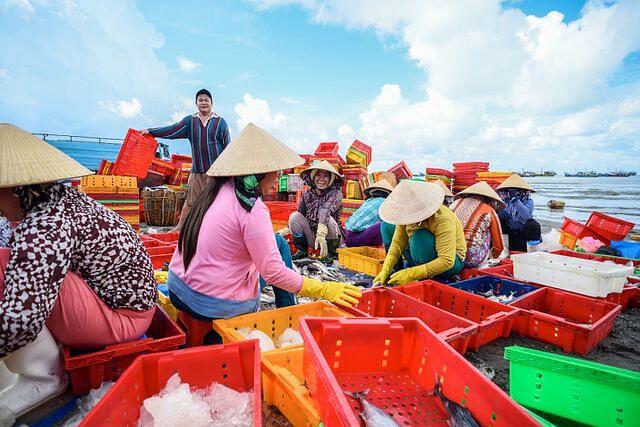 Giữa lòng Vũng Tàu có khu chợ chuẩn ngon-bổ-rẻ, được mệnh danh là &#34;thiên đường hải sản - 3