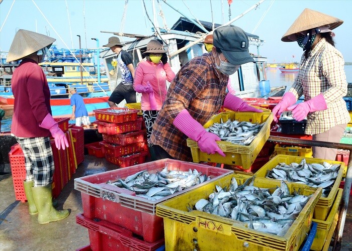 Giữa lòng Vũng Tàu có khu chợ chuẩn ngon-bổ-rẻ, được mệnh danh là &#34;thiên đường hải sản - 2