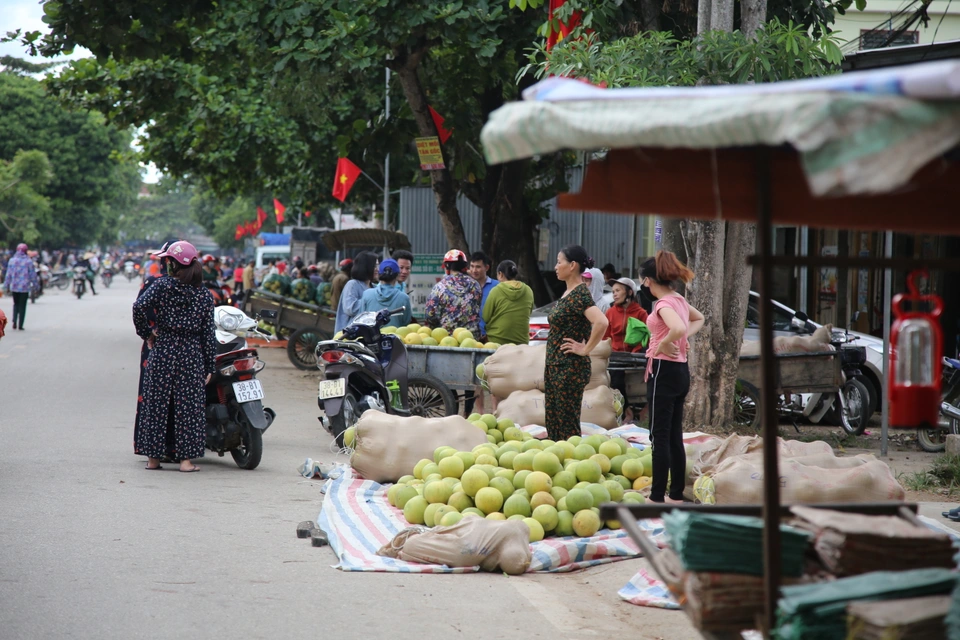 Hà Tĩnh có phiên chợ chỉ họp 2 tháng trong năm, bán duy nhất &#34;đệ nhất danh quả&#34; thơm lừng một con đường - 3