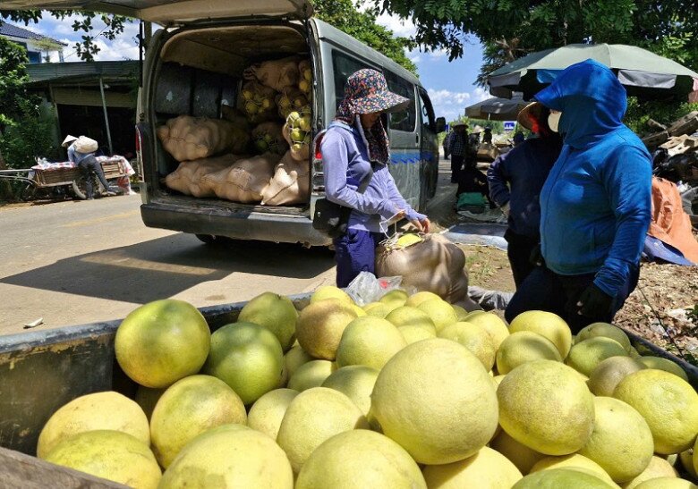 Hà Tĩnh có phiên chợ chỉ họp 2 tháng trong năm, bán duy nhất &#34;đệ nhất danh quả&#34; thơm lừng một con đường - 4