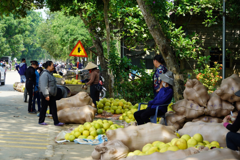 Hà Tĩnh có phiên chợ chỉ họp 2 tháng trong năm, bán duy nhất &#34;đệ nhất danh quả&#34; thơm lừng một con đường - 1