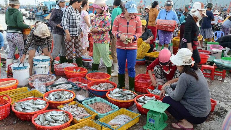 Quy Nhơn có một khu chợ cá lớn và nổi tiếng bậc nhất miền Trung, bán đủ loại hải sản với giá tận gốc - 4