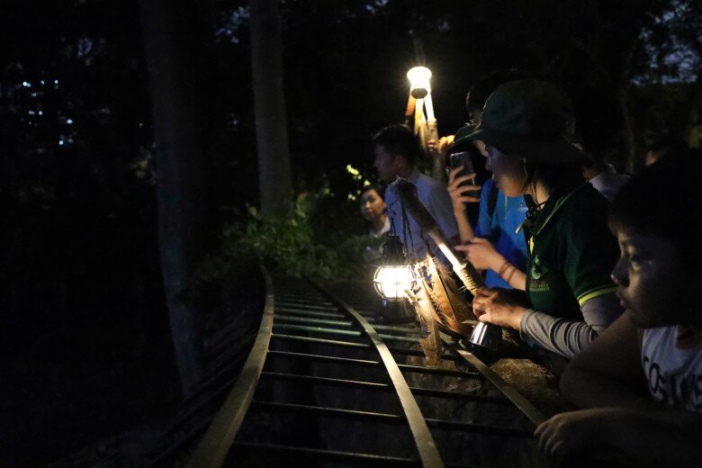 Thảo Cầm Viên bất ngờ mở tour tham quan động vật về đêm, ngắm nhìn muôn thú sinh hoạt, giá vé thế nào? - 4