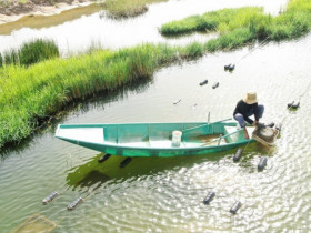 Nghề lạ ở Việt Nam: Nông dân đổi đời vươn lên làm giàu nhờ nuôi lộc trời "đắt đỏ", chị em phụ nữ thích mê
