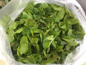 Thứ xưa rụng đầy gốc không ai ngó ngàng nay lên đời thành đặc sản lạ, hương vị hấp dẫn, giá gần 100.000 đồng/kg