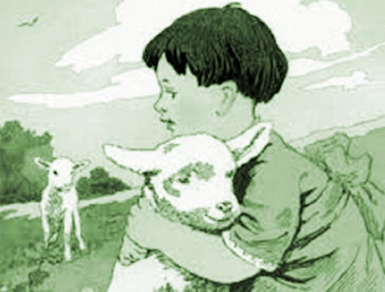 Tiểu Hắc và Tiểu Bạch