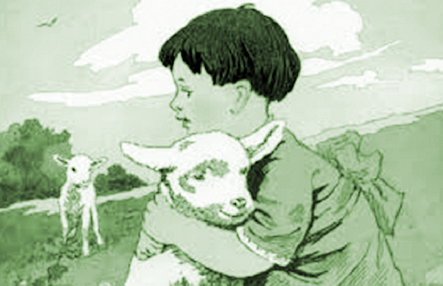 Tiểu Hắc và Tiểu Bạch - 1