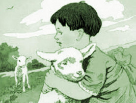 Tiểu Hắc và Tiểu Bạch