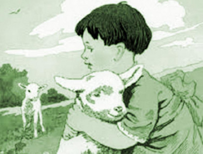 Tiểu Hắc và Tiểu Bạch