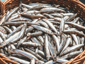 12 loại thủy hải sản giàu dinh dưỡng, bảo vệ tim mạch bán đầy ở chợ Việt, từ 5.000 đồng là mua được