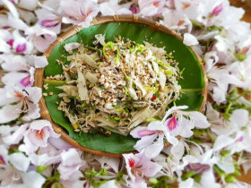 Loài hoa biểu tượng vùng Tây Bắc trở thành đặc sản, xưa được coi là thảo dược giờ nấu món nào cũng ngon 