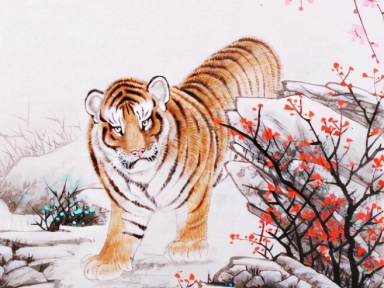 Tử vi tuần mới 12-18/1: Dần tràn ngập tin vui, Tý có quý nhân dẫn lối