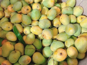 Loài quả xưa không ai biết đến, nay thành đặc sản dân thành phố thích mê, hương vị đặc biệt