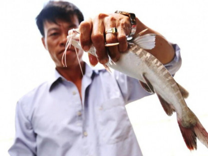 Loài cá đặc sản Cà Mau có tên nghe rất nguy hiểm, đánh bắt cực khó nhưng ăn một lần là nhớ mãi