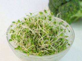 Kiểu ăn rau nào có hại mà người Việt hay mắc? Đâu là loại rau tuyệt đối không nên sử dụng khi có dấu hiệu này!