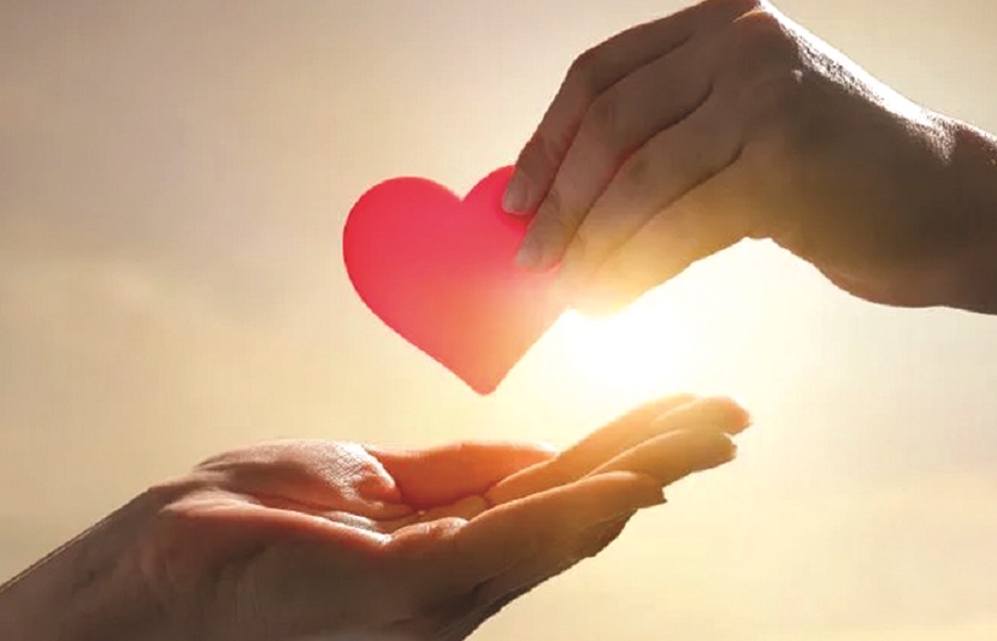 “Tuyệt chiêu” cuối cùng - 1