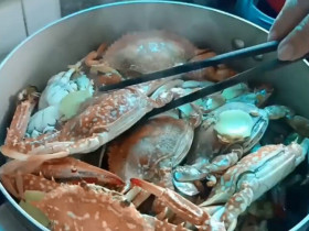 Hấp cua ghẹ dùng nước nào thì ngon, nhiều người làm sai nên hay bị tanh, thịt kém ngọt