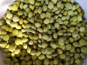 Loại quả xưa có đầy không ai bán, giờ thành đặc sản được dân thành phố "ưa chuộng", 120.000 đồng/kg