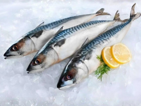 12 loại cá ít xương "đại bổ như nhân sâm", giàu protein và khoáng chất, ngoài chợ Việt bán đầy giá từ 40.000 đ/kg