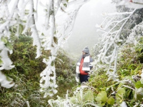Hàng loạt tỉnh miền Bắc rét đỉnh điểm