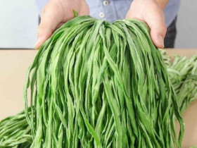 Thứ xưa ít ai biết, giờ thành đặc sản được ưa chuộng đến lạ, càng ăn càng mê vì giòn sần sật, 450.000 đồng/kg