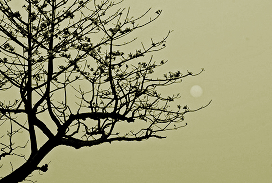 Chạm vào tháng Chạp - 1